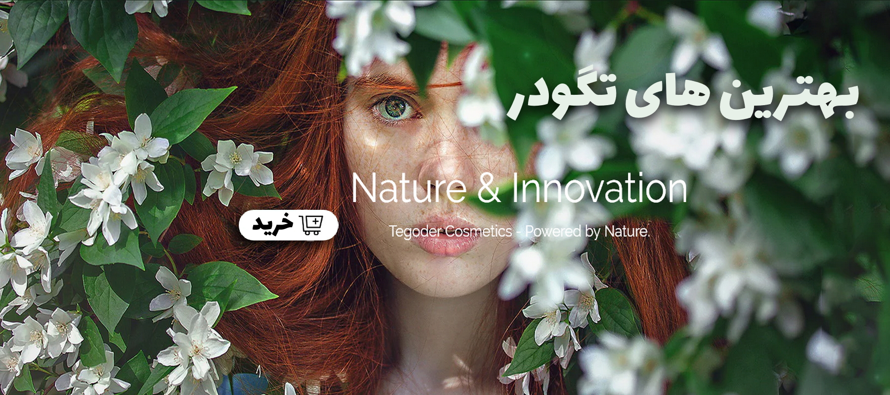 مای دارو - تگودر